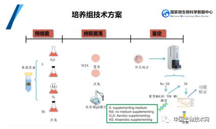 打開“組”裝通的幽微世界 楊瑞馥談培養組學與微生物資源寶庫