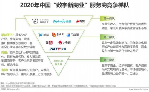 2020年中國(guó)數(shù)字新商業(yè)發(fā)展洞察報(bào)告 微動(dòng)天下入選頭部服務(wù)商，引領(lǐng)數(shù)字技術(shù)服務(wù)浪潮